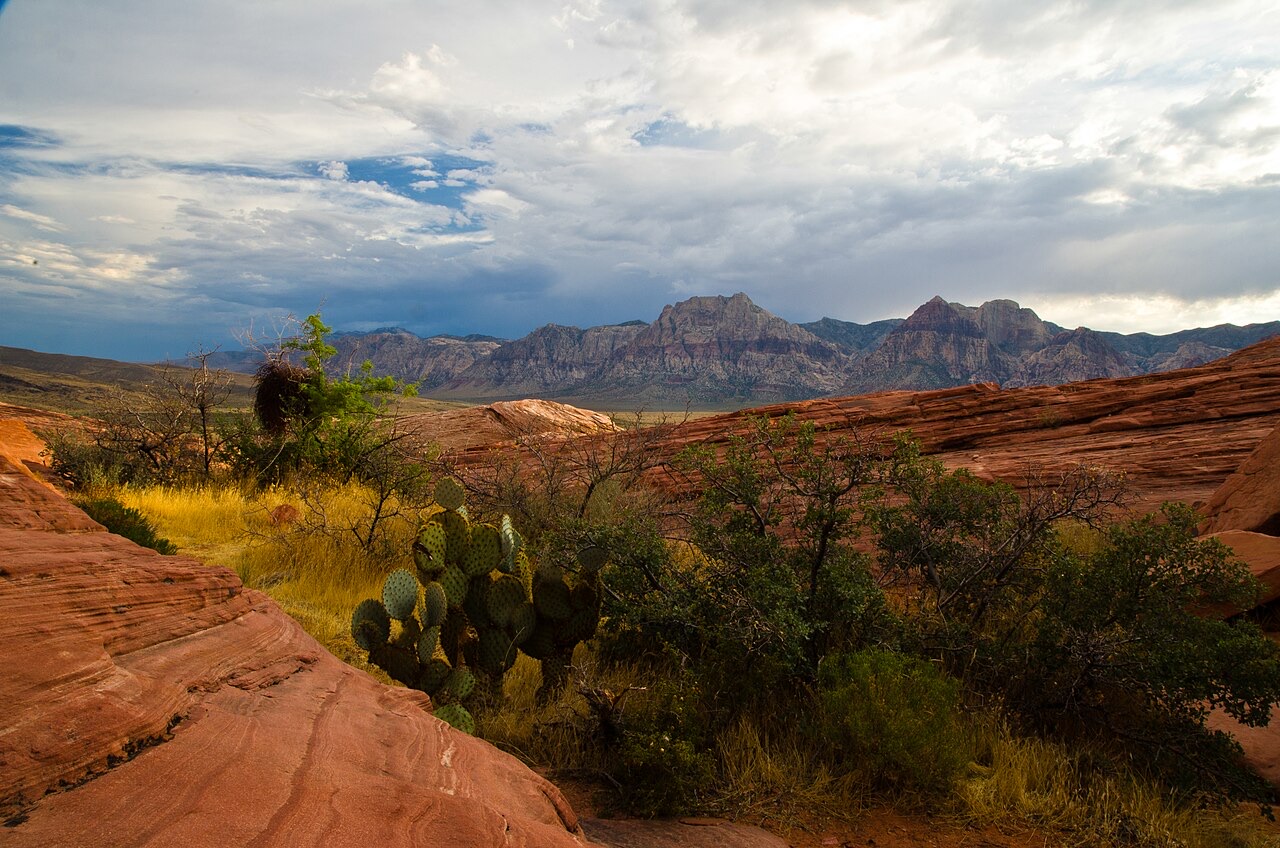 Sunset light on the sandstone escarpment at Red Rock Canyon National Conservation Area